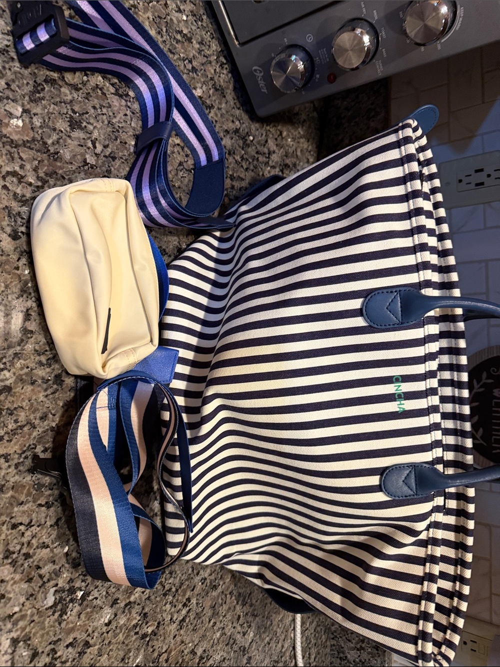 Striped Navy and White Tote with Blue Trim and Cream Pouch